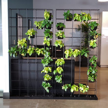 Load image into Gallery viewer, Viro Planter Wall