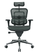 Load image into Gallery viewer, ERGOHUMAN ME7ERG ALL-MESH ALL-DAY CHAIR