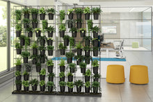 Load image into Gallery viewer, Viro Planter Wall
