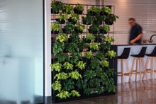 Load image into Gallery viewer, Viro Planter Wall
