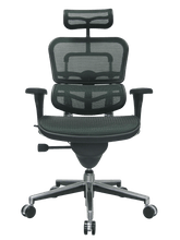 Load image into Gallery viewer, ERGOHUMAN ME7ERG ALL-MESH ALL-DAY CHAIR
